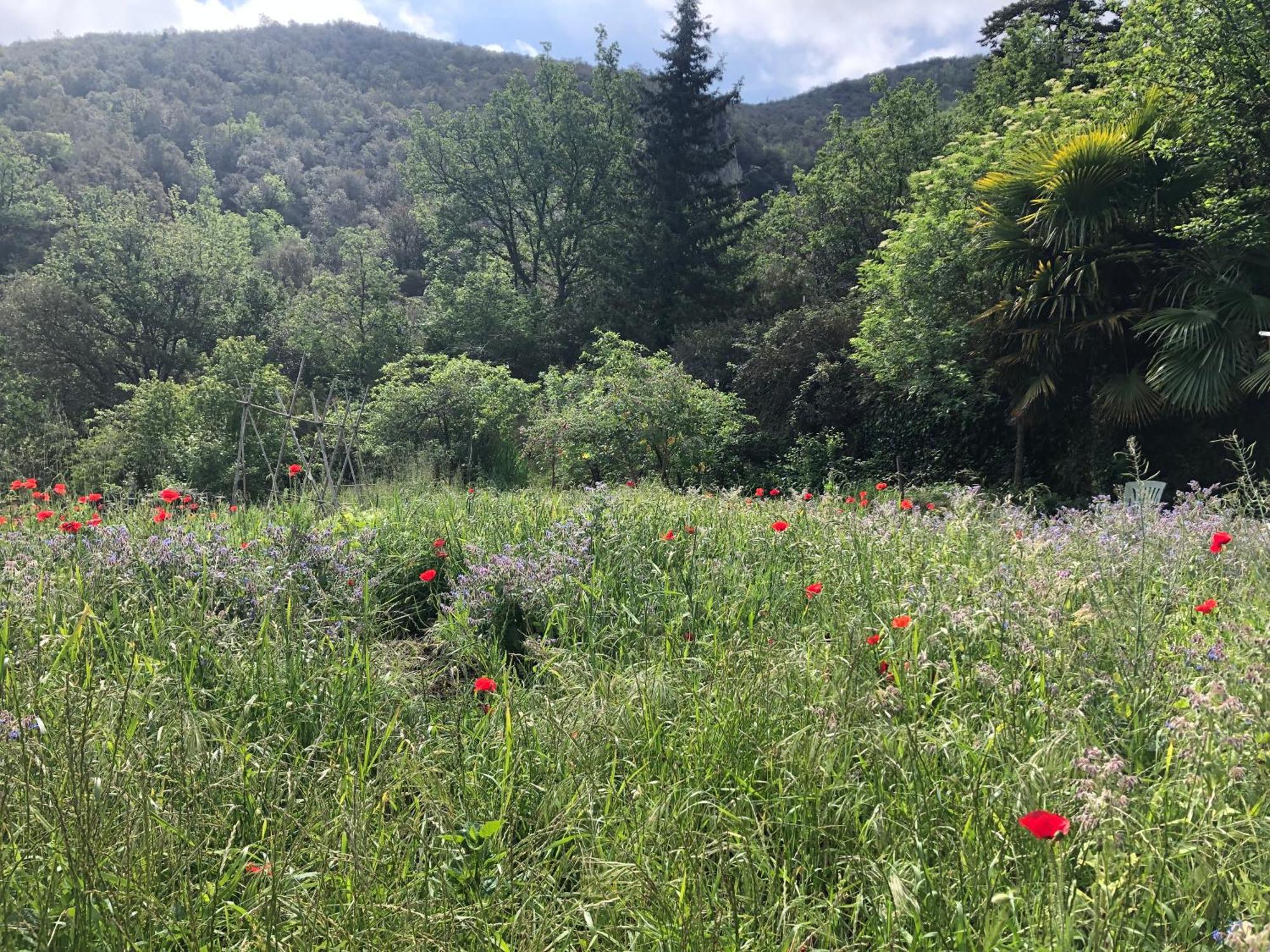 El Refugio Villa Reynès Kültér fotó
