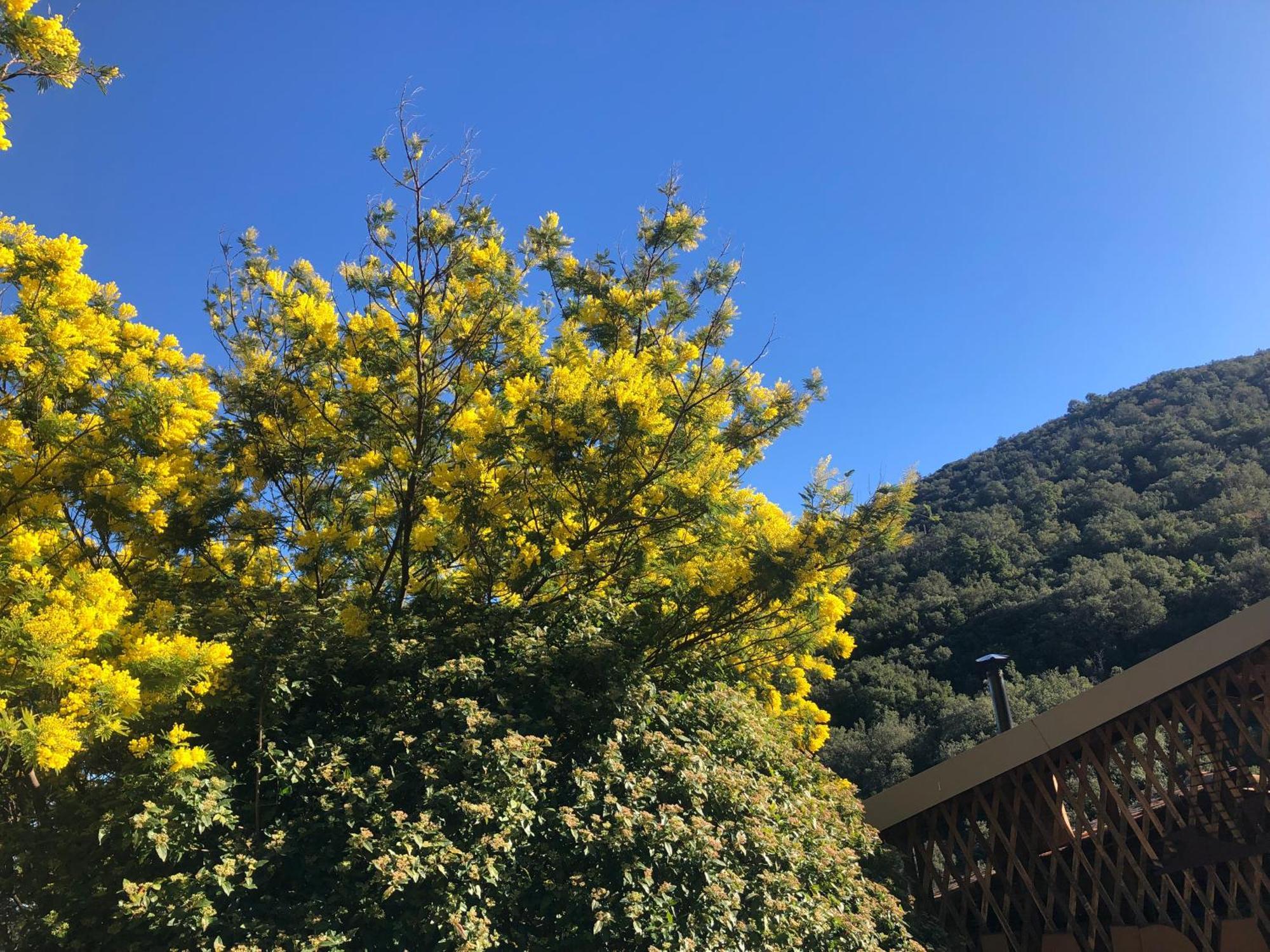 El Refugio Villa Reynès Kültér fotó